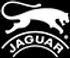 Logo de Jaguar Shoes